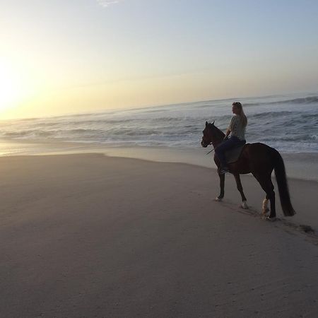 Dakhla Evasion Hotel Zewnętrze zdjęcie